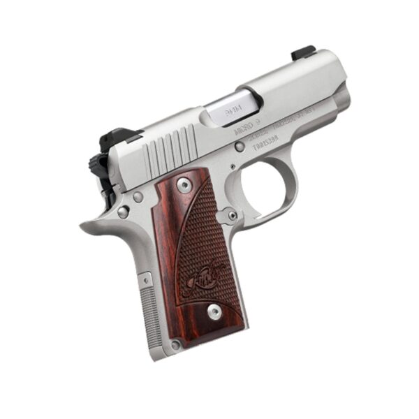 Kimber Micro 9mm Stainless Steel Handgun