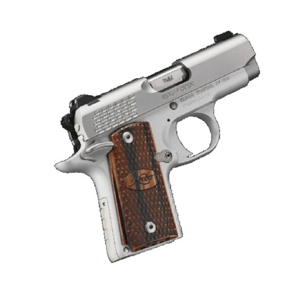 Kimber Micro 9mm Stainless Steel Raptor Handgun